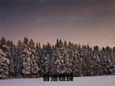 曾渔杨臻(曾渔杨臻)全文免费阅读无弹窗大结局_曾渔杨臻免费阅读全文无弹窗_笔趣阁