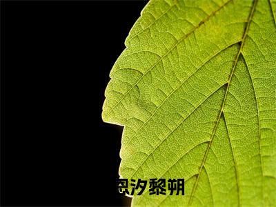 俞恩汐黎朔全文免费阅读无弹窗大结局,俞恩汐黎朔完整版在线阅读