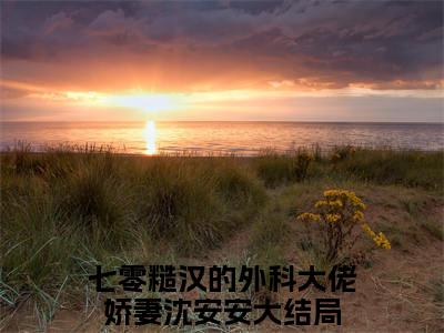 七零糙汉的外科大佬娇妻沈安安(七零糙汉的外科大佬娇妻沈安安)全文免费阅读无弹窗_(七零糙汉的外科大佬娇妻沈安安)七零糙汉的外科大佬娇妻沈安安最新章节列表笔趣阁（七零糙汉的外科大佬娇妻沈安安）