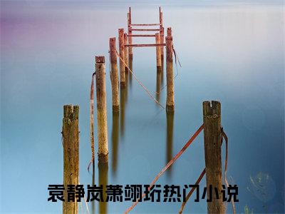 袁静岚萧翊珩免费小说 袁静岚萧翊珩全文无弹窗完整版阅读