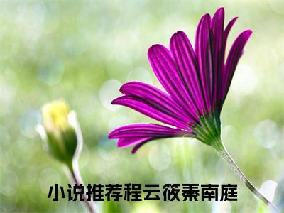程云筱秦南庭小说大结局-精彩美文程云筱秦南庭免费阅读
