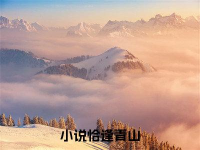恰逢青山免费阅读（谢青山倪玫）全文免费阅读无弹窗大结局_恰逢青山免费阅读最新章节列表