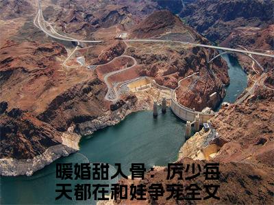 （暖婚甜入骨：厉少每天都在和娃争宠）厉御江顾云暖小说小说免费暖婚甜入骨：厉少每天都在和娃争宠读无弹窗最新章节列表_笔趣阁（厉御江顾云暖）
