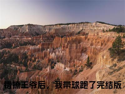 孟晚棠裴知聿（错撩王爷后，我带球跑了）免费小说-主角错撩王爷后，我带球跑了全文在线完本阅读笔趣阁
