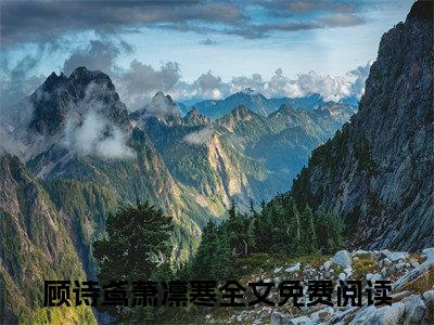 顾诗鸢萧凛寒小说免费阅读无弹窗大结局-顾诗鸢萧凛寒（顾诗鸢萧凛寒）小说全文阅读