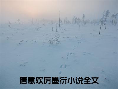 唐意欢厉墨衍（唐意欢厉墨衍）小说全文免费阅读无弹窗_（唐意欢厉墨衍）唐意欢厉墨衍小说全文免费阅读最新章节列表笔趣阁（唐意欢厉墨衍）