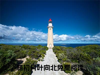林初月叶向北（救命！硬汉军官被腹黑千金撩疯了）免费阅读无弹窗大结局_林初月叶向北小说（救命！硬汉军官被腹黑千金撩疯了）免费阅读最新章节列表