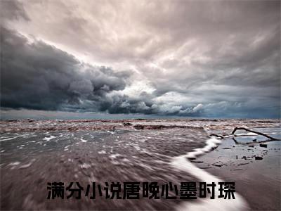 唐晚心墨时琛（唐晚心墨时琛）小说全文免费阅读正版无弹窗_唐晚心墨时琛小说免费阅读全文无弹窗_笔趣阁