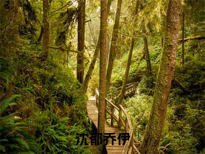 沈郁乔伊（沈郁乔伊）全文免费阅读无弹窗大结局_（沈郁乔伊）沈郁乔伊免费阅读最新章节列表笔趣阁（沈郁乔伊）