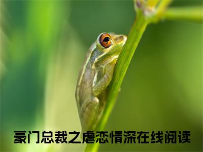 （热推新书）《傅云逸江暖》全文免费阅读最新章节大结局-豪门总裁之虐恋情深无弹窗阅读