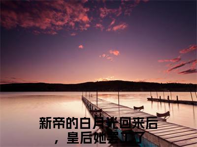 连婳傅昀璋（新帝的白月光回来后，皇后她罢工了）多人追免费无弹窗小说-主角新帝的白月光回来后，皇后她罢工了完整版在线阅读（连婳傅昀璋）