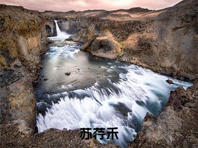 重生后，将军主母干翻前夫全家（苏荇禾）完整版小说阅读_-重生后，将军主母干翻前夫全家最新章节列表（苏荇禾）