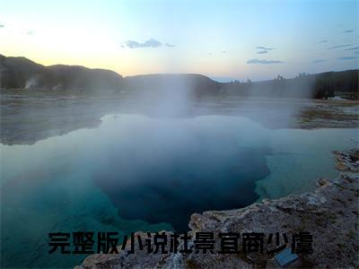 杜景宜商少虞无广告小说正版在线阅读,杜景宜商少虞全文在线阅读大结局