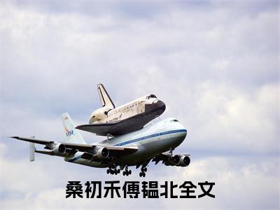 小说桑初禾傅韫北全文免费阅读无弹窗大结局-桑初禾傅韫北在线阅读