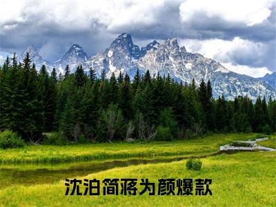 沈泊简蒋为颜全文免费阅读-小说沈泊简蒋为颜大结