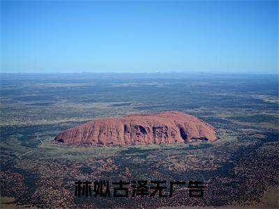 主角叫林姒古泽的小说-林姒古泽最新章节在线阅读