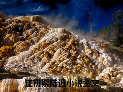 江初絮陆迟全文免费阅读无弹窗大结局-江初絮陆迟全文在线阅读