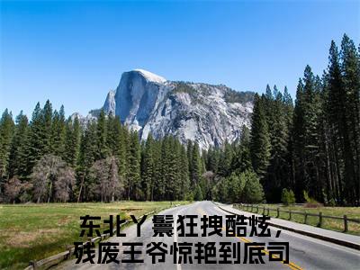 东北丫鬟狂拽酷炫，残废王爷惊艳到底司湉湉小说全文阅读-东北丫鬟狂拽酷炫，残废王爷惊艳到底司湉湉小说全文完整版免费阅读