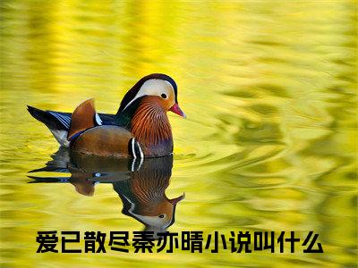 爱已散尽秦亦晴（爱已散尽秦亦晴）全文免费阅读无弹窗_爱已散尽秦亦晴最新小说精彩推荐