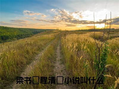梁书媞程清玙小说免费阅读-梁书媞程清玙最新章节小说阅读-笔趣阁