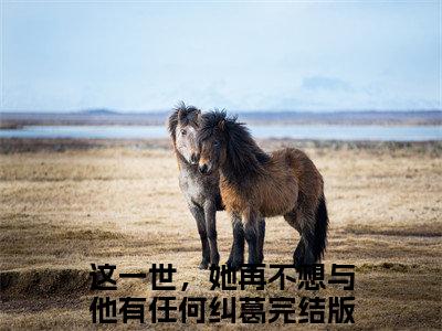 秦瑞琳季白深小说全文免费阅读(这一世，她再不想与他有任何纠葛)全文免费阅读无弹窗_这一世，她再不想与他有任何纠葛小说全文免费阅读