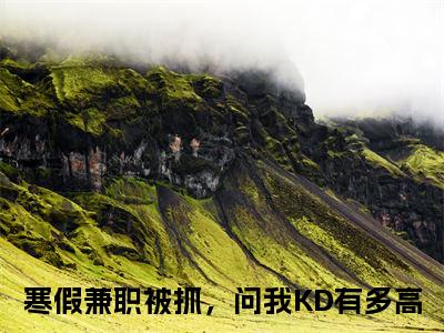 寒假兼职被抓，问我KD有多高苏白精彩章节-寒假兼职被抓，问我KD有多高苏白完整版阅读