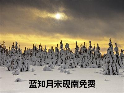 蓝知月宋砚南《蓝知月宋砚南小说免费阅读》完整_蓝知月宋砚南小说（蓝知月宋砚南）全文免费阅读大结局