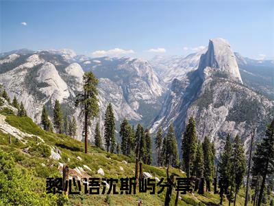 黎心语沈斯屿全文免费阅读小说今日已更新最新章节_黎心语沈斯屿全文免费阅读最新章节列表