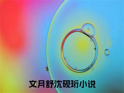 文月舒沈砚珩小说后续阅读无弹窗大结局_（文月舒沈砚珩阅读无弹窗）最新章节列表_笔趣阁（文月舒沈砚珩）
