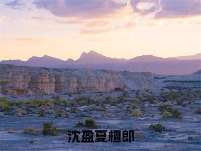 沈盈夏檀郎（沈盈夏檀郎小说全文）在线阅读无弹窗大结局-沈盈夏檀郎全文无删减版阅读