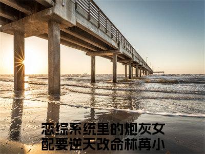 恋综系统里的炮灰女配要逆天改命林苒全文免费阅读大结局_恋综系统里的炮灰女配要逆天改命林苒已完结全集恋综系统里的炮灰女配要逆天改命林苒大结局小说