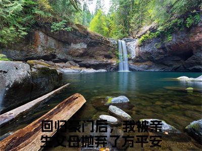 热门小说（回归豪门后，我被亲生父母抛弃了方平安）精选章节阅读-高质量小说推荐阅读
