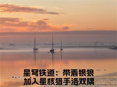 星穹铁道：带着银狼加入星核猎手洛双隅小说全文 星穹铁道：带着银狼加入星核猎手洛双隅小说免费阅读大结局