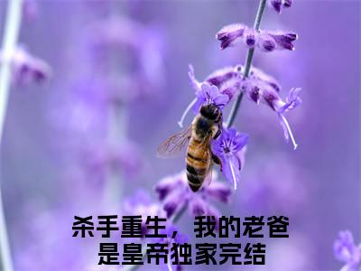 苏月肖寒（杀手重生，我的老爸是皇帝）全文免费阅读_苏月肖寒（杀手重生，我的老爸是皇帝）最新章节小说免费阅读