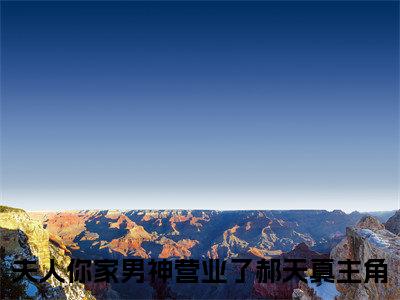 夫人你家男神营业了郝天真全文免费阅读-小说推荐夫人你家男神营业了郝天真精彩章节在线阅读