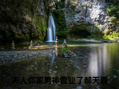 主人公叫夫人你家男神营业了郝天真的小说哪里免费看夫人你家男神营业了郝天真