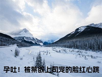 孕吐！被禁欲上司宠的脸红心跳（陆砚南林宜小说）全文免费阅读无弹窗大结局_（孕吐！被禁欲上司宠的脸红心跳）陆砚南林宜小说最新章节列表