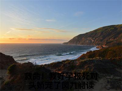 救命！我好孕被死对头娇宠了凤九小说后续阅读无弹窗大结局_（救命！我好孕被死对头娇宠了凤九阅读无弹窗）最新章节列表_笔趣阁（救命！我好孕被死对头娇宠了凤九）