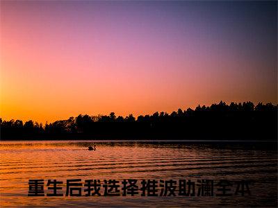 林瑜徐念念全文免费阅读无弹窗大结局_（重生后我选择推波助澜在线阅读）林瑜徐念念最新章节完整版阅读