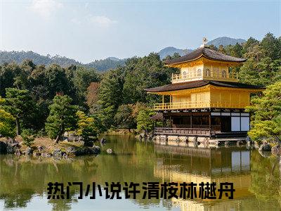 许清桉林樾舟全文免费阅读无弹窗_（许清桉林樾舟）全文在线阅读大结局