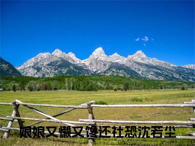 娘娘又懒又馋还社恐沈若尘小说全文免费阅读 -娘娘又懒又馋还社恐沈若尘在线完整版