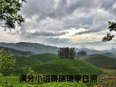 秦瑞琳季白深小说好看吗-秦瑞琳季白深最后结局如何（秦瑞琳季白深）在线赏析全文