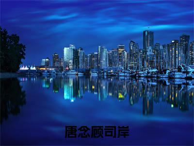 唐念顾司岸（唐念顾司岸）全文免费阅读无弹窗大结局_唐念顾司岸最新章节列表笔趣阁
