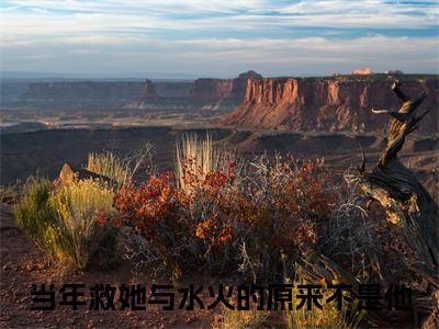 当年救她与水火的原来不是他（尤禾希蒋羽廷）最新热门小说榜单推荐-当年救她与水火的原来不是他最新章节免费阅读