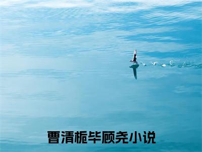 曹清栀毕顾尧(曹清栀毕顾尧)全文免费阅读无弹窗大结局_(曹清栀毕顾尧)曹清栀毕顾尧小说免费阅读最新章节列表笔趣阁（曹清栀毕顾尧）