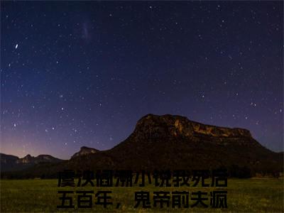 虞泱阎溯（我死后五百年，鬼帝前夫疯了）全文免费阅读-(我死后五百年，鬼帝前夫疯了小说)虞泱阎溯最新章节列表