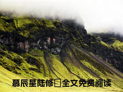 慕辰星陆修璟（慕辰星陆修璟）全文免费阅读无弹窗_慕辰星陆修璟最新小说_笔趣阁