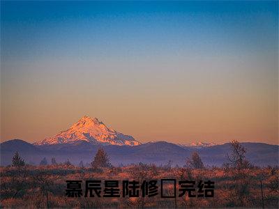 慕辰星陆修璟正版小说强推慕辰星陆修璟免费小说无弹窗