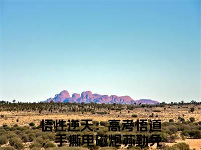 悟性逆天：高考悟道，手撕电磁炮苏勤全文阅读 悟性逆天：高考悟道，手撕电磁炮苏勤小说最新章节
