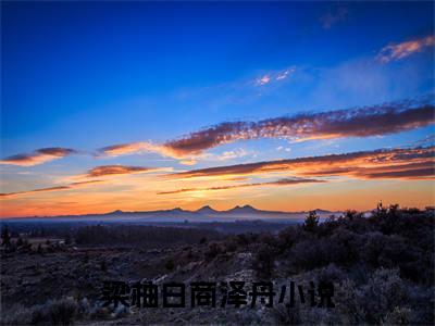 梁柚白商泽舟精选小说-梁柚白商泽舟全章节(梁柚白商泽舟)完整小说